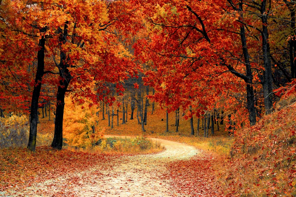 Time to Prepare for Autumn