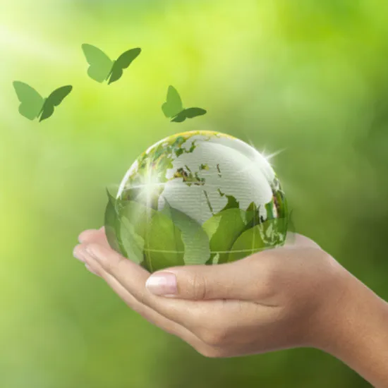 Greener Plumbing Solutions: Exploring Sustainable Plumbing Options