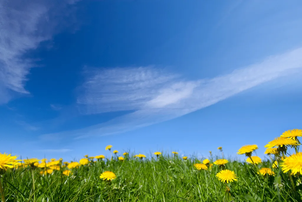 Is It Really Spring Yet?