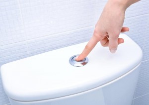 flush-the-toilet